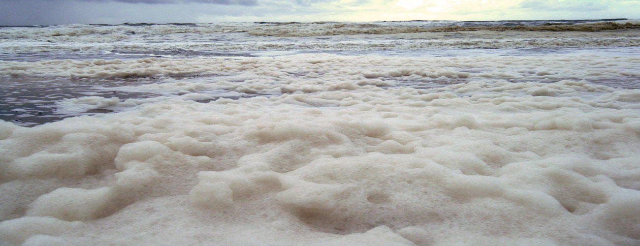 Sea Foam